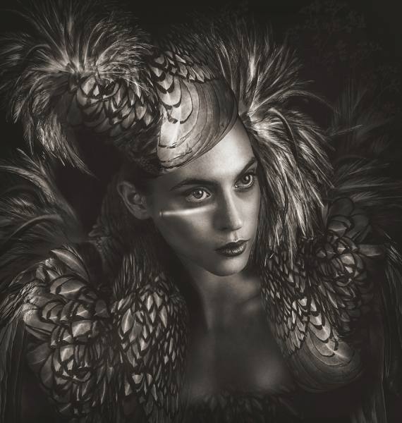 Photograph Lee Howell Beaute Aviare 3 on One Eyeland
